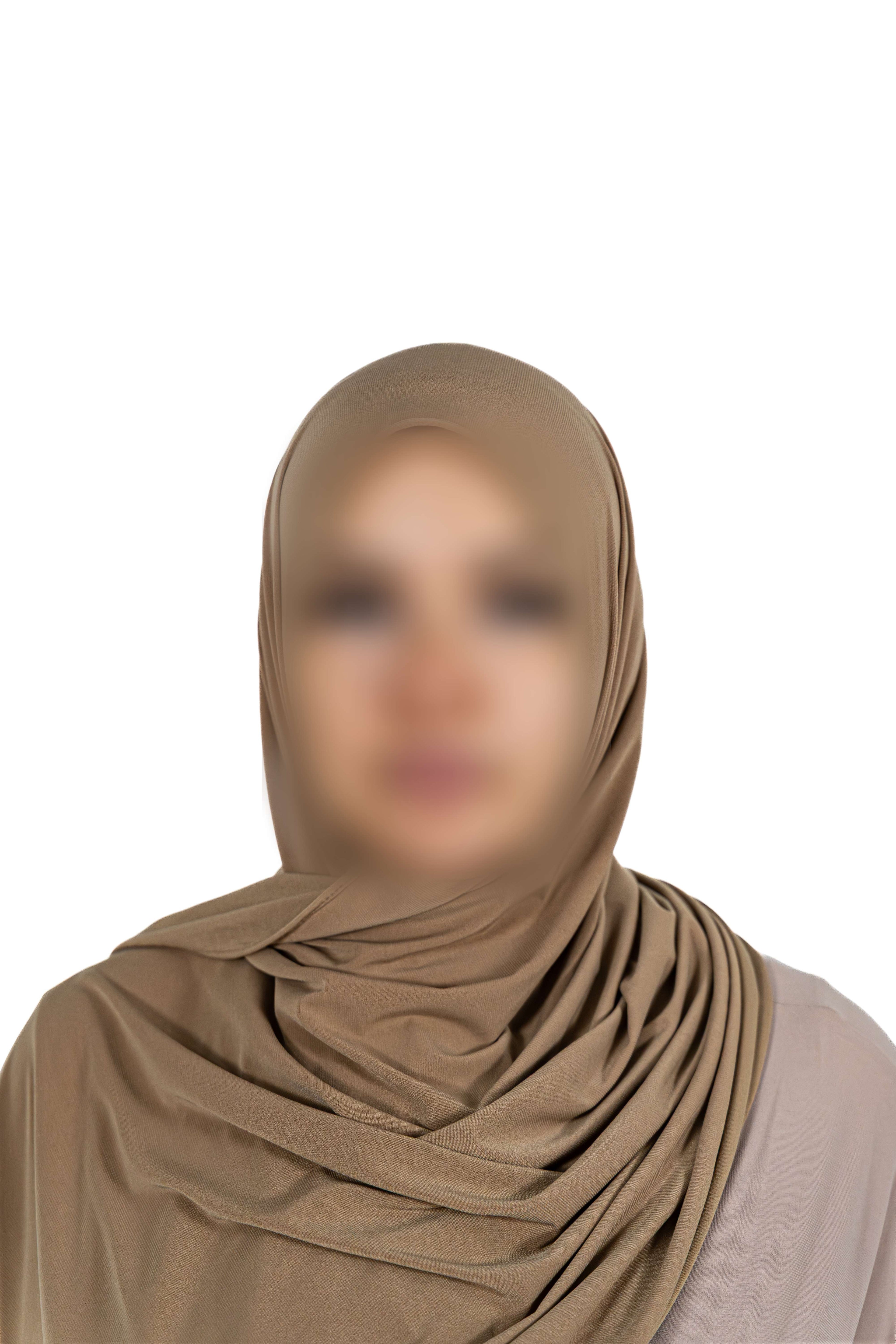 Premium Jersey Shawl (Warm Taupe)